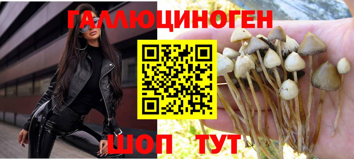 Псилоцибиновые грибы мицелий  Вход с VPN  Сорочинск 